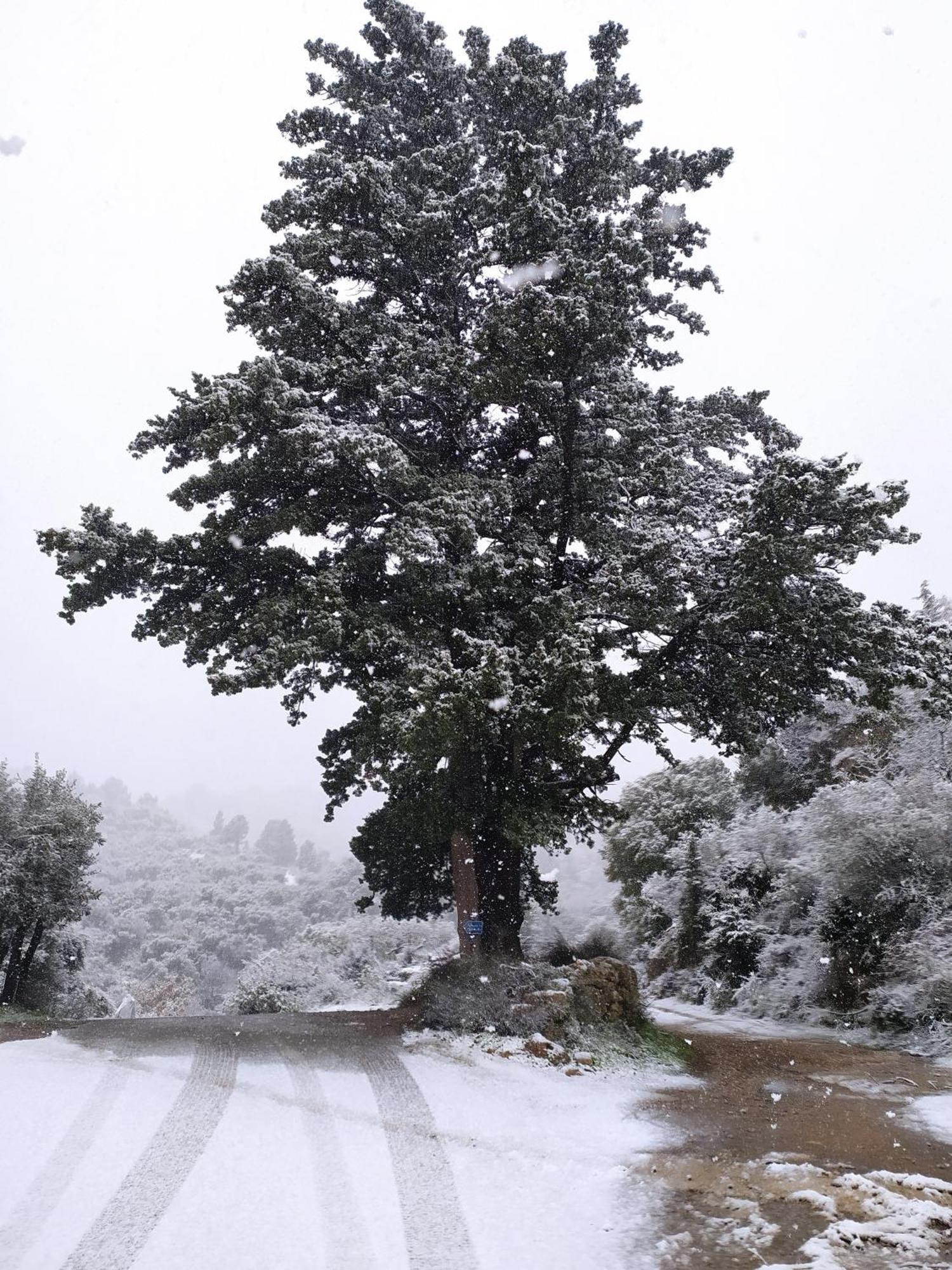 "Villa Kastania" Melidoni, Chania, Crete מראה חיצוני תמונה